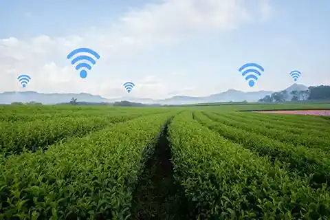 سیستم کنترل هوشمند کشاورزی 